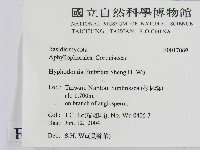 登錄號:F0017069藏品圖，第2張