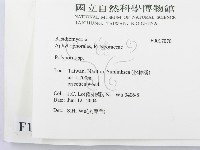 多孔菌屬藏品圖，第2張