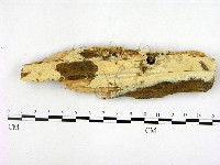 登錄號:F0017071藏品圖，第1張