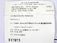 登錄號:F0017073藏品圖，第2張