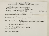 登錄號:F0017074藏品圖，第2張