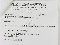 登錄號:F0017074藏品圖，第3張