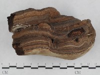 登錄號:F0017074藏品圖，第1張