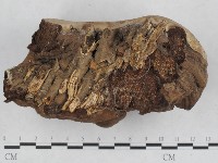 登錄號:F0017074藏品圖，第5張