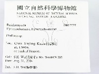 木層孔菌屬藏品圖，第2張