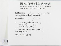 木層孔菌屬藏品圖，第2張