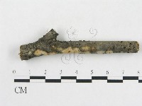 登錄號:F0017081藏品圖，第1張