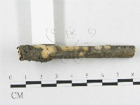 登錄號:F0017081藏品圖，第3張