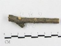 登錄號:F0017081藏品圖，第4張