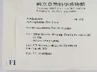 登錄號:F0017082藏品圖，第2張