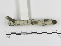 登錄號:F0017082藏品圖，第1張