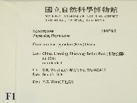 登錄號:F0017083藏品圖，第2張