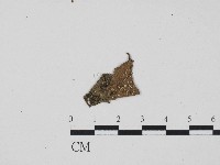 登錄號:F0017083藏品圖，第1張