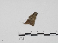 登錄號:F0017083藏品圖，第3張