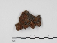 登錄號:F0017084藏品圖，第1張