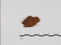 登錄號:F0017085藏品圖，第1張