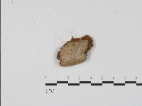 登錄號:F0017085藏品圖，第3張