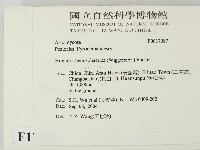 登錄號:F0017087藏品圖，第2張