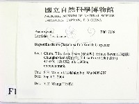 登錄號:F0017088藏品圖，第2張