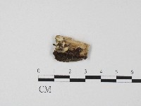登錄號:F0017089藏品圖，第1張
