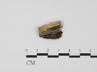 登錄號:F0017089藏品圖，第3張