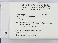 登錄號:F0017093藏品圖，第2張