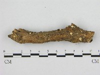 登錄號:F0017093藏品圖，第1張
