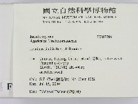 登錄號:F0017094藏品圖，第2張