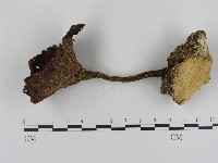 登錄號:F0017094藏品圖，第1張