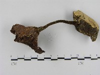 登錄號:F0017094藏品圖，第3張