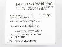 登錄號:F0017095藏品圖，第2張
