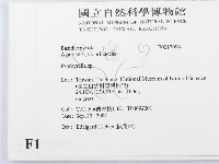 登錄號:F0017096藏品圖，第2張