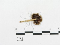 登錄號:F0017096藏品圖，第1張