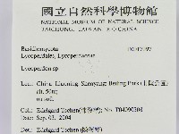 登錄號:F0017097藏品圖，第2張