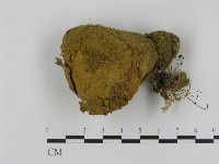 登錄號:F0017097藏品圖，第1張