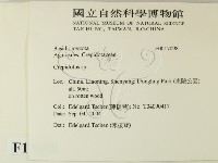 登錄號:F0017098藏品圖，第2張