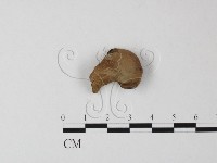 登錄號:F0017098藏品圖，第3張
