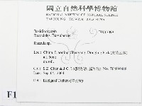 紅菇屬藏品圖，第2張