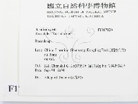 紅菇屬藏品圖，第2張