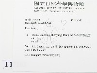 紅菇屬藏品圖，第2張