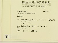登錄號:F0017103藏品圖，第2張