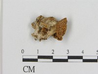 登錄號:F0017103藏品圖，第1張