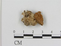 登錄號:F0017103藏品圖，第3張