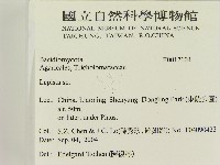登錄號:F0017104藏品圖，第2張