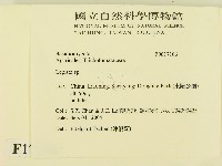 登錄號:F0017106藏品圖，第2張
