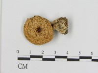 登錄號:F0017106藏品圖，第1張