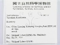 紅菇屬藏品圖，第2張