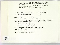 地星屬藏品圖，第2張