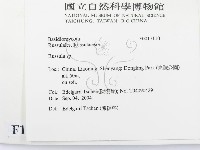 紅菇屬藏品圖，第2張
