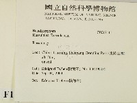 紅菇屬藏品圖，第2張